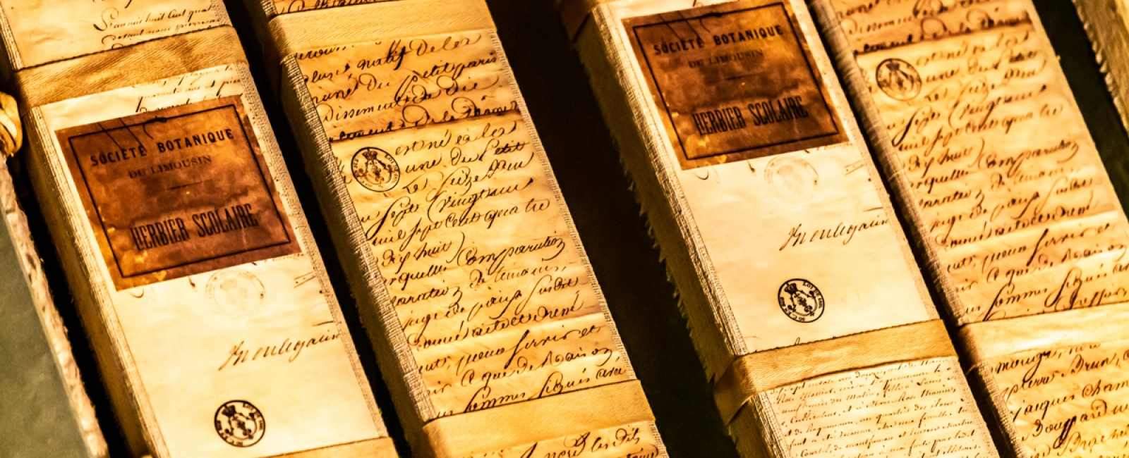 mdpn-11-2018-495 mdpn-11-2018-495