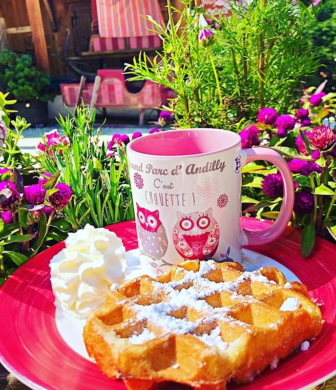 gaufre gaufre