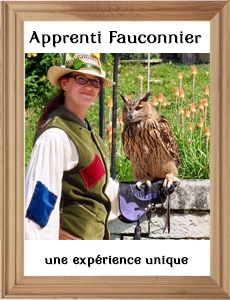 apprenti-fauconnier-copie