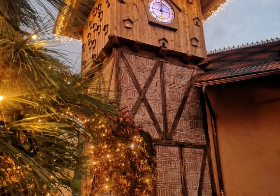 photo-2024-10-25-12-37-37-5