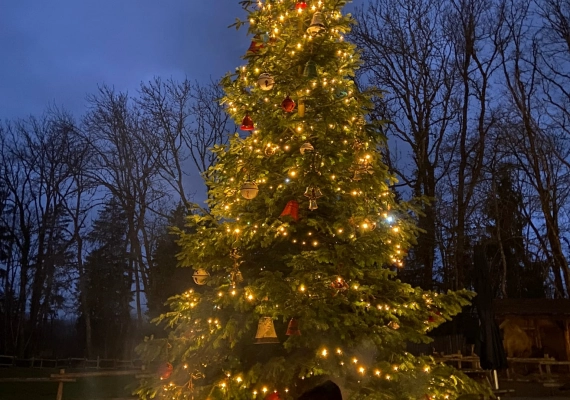 grand-parc-de-noel-credit-v-7