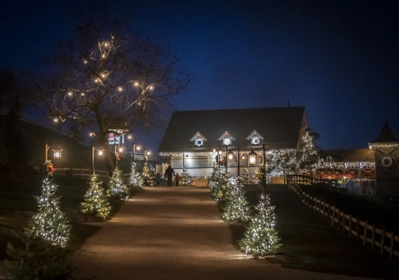 millo-moravski-2-142